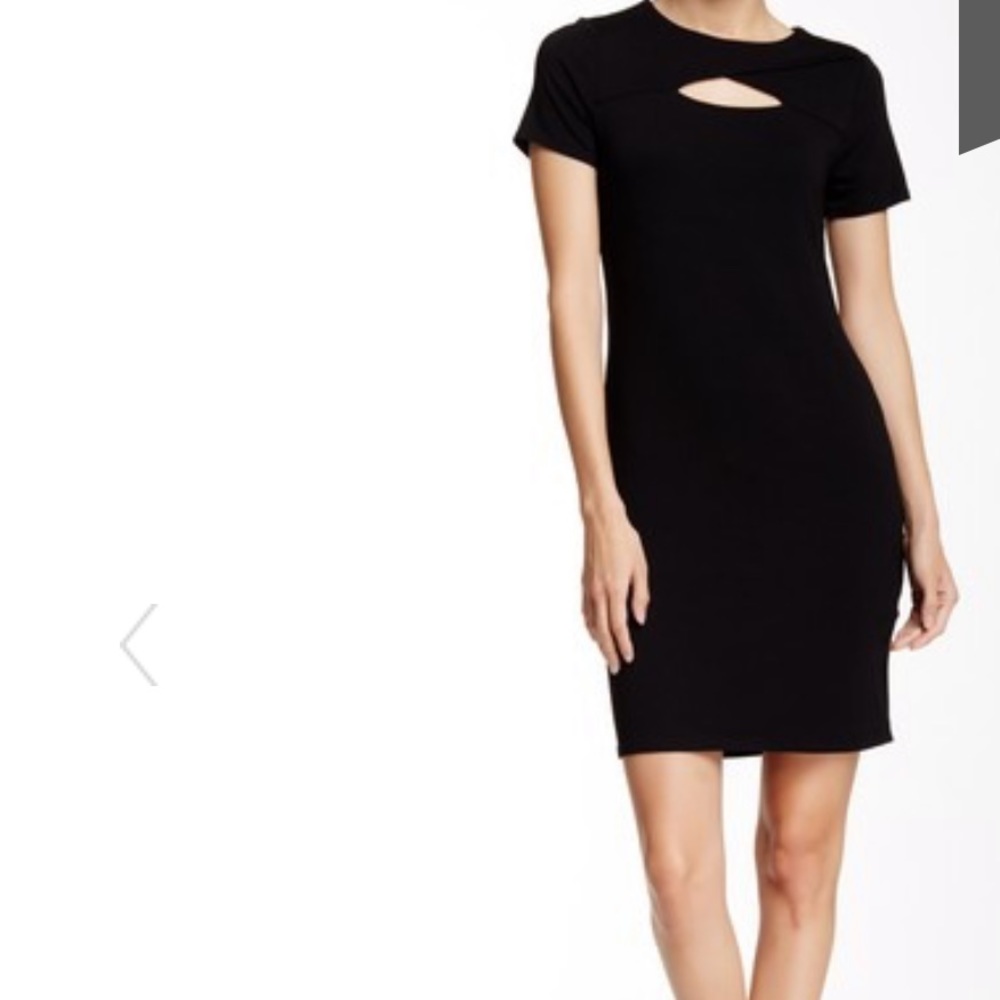 Vince Camuto Dress